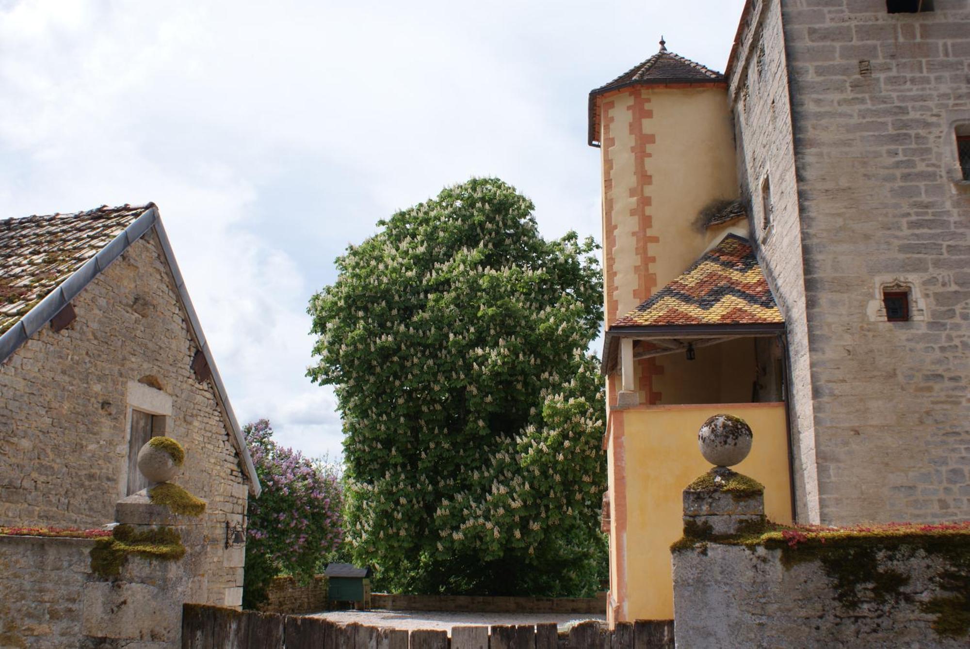 Chateau De Champrenault, Voyagez Dans Le Temps Exterior photo